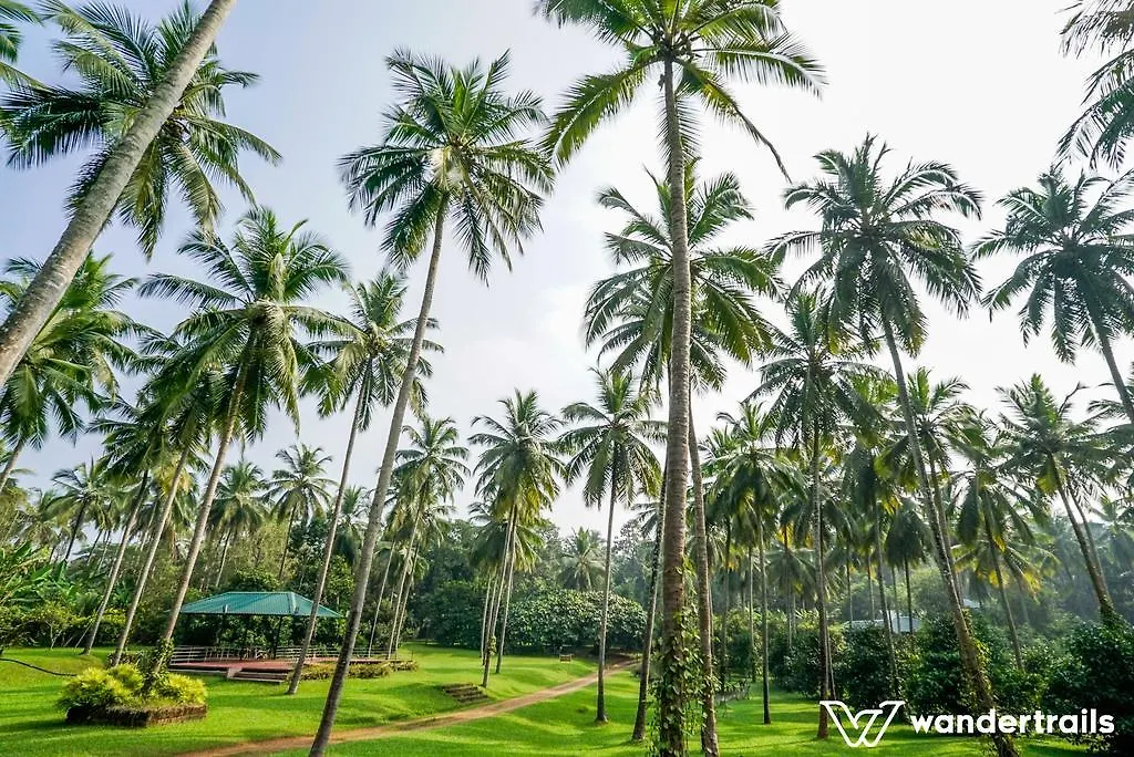 Teak Town Daire Nilambūr Hindistan